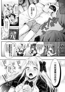 Harem Maid no Damedame Ecchi (decensored), 中文