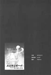 パチュリー様と秘密の部屋, 日本語