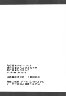 パチュリー様と秘密の部屋, 日本語