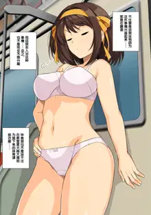 Suzumiya Haruhino Saishuu Chikan Densha, 中文