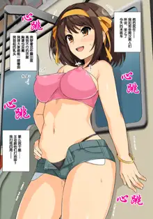 Suzumiya Haruhino Saishuu Chikan Densha, 中文