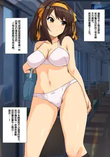 Suzumiya Haruhino Saishuu Chikan Densha, 中文