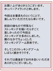 硬派!女番長!の弱みを偽造して調教してみた。, 日本語