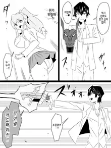 "Shoukanjuu DX DeliHealizer" ver. 4 ~Card kara Josei o Shoukan shite Ecchi suru Ohanashi~, 한국어