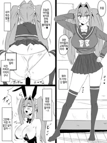 "Shoukanjuu DX DeliHealizer" ver. 4 ~Card kara Josei o Shoukan shite Ecchi suru Ohanashi~, 한국어