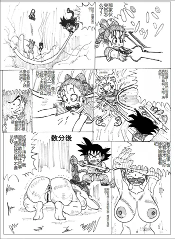 Bulma's Suffering, 中文