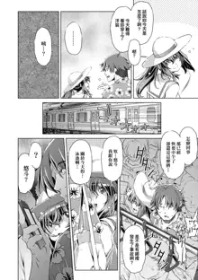 Shuudan Chikan Densha (decensored), 中文