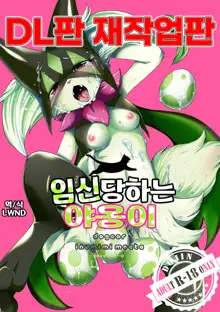 Harama Sare Nyanko | 임신당하는 야옹이, 한국어