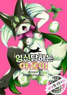 Harama Sare Nyanko | 임신당하는 야옹이, 한국어