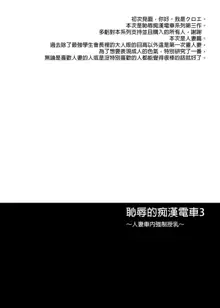 恥辱の痴漢電車総集編, 中文