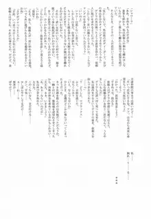 アストラルバウト Ver.12, 日本語