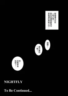 NIGHTFLY vol.1 DAY DREAMIN', 中文