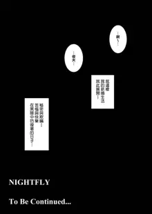 NIGHTFLY vol.2 LOCK STEADY, 中文