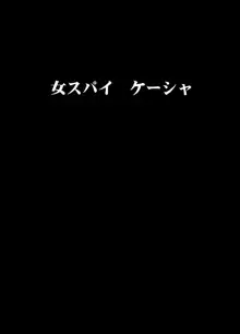 女スパイ ケーシャ, 日本語