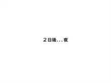 敗北淫巫女るなちゃんのアクメ地獄な日常～その１～, 中文