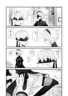 9S x 2B, 日本語