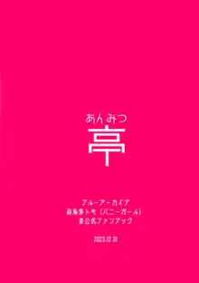 発情バニー, 日本語