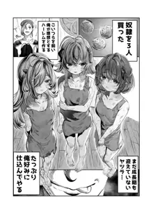 奴隷を調教してハーレム作る～育てた奴隷たちと純愛ハーレムHするまでの話～【漫画版】, 日本語