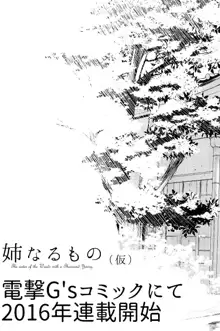 Ane Naru Mono 1-11, 中文