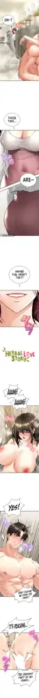 Herbal Love Story, English