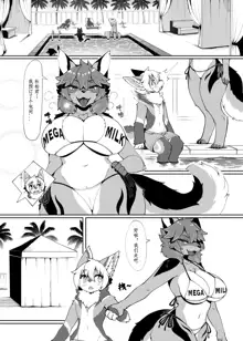 My Kemoshota boyfriend 3, 中文