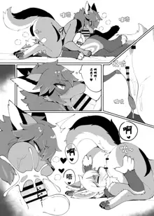 My Kemoshota boyfriend 3, 中文