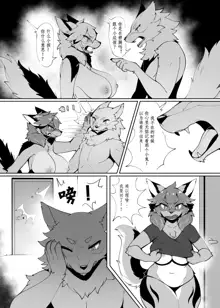 My Kemoshota boyfriend 3, 中文