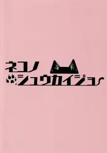 魅惑のパン, 日本語