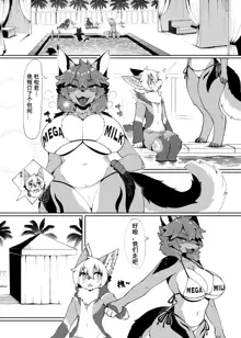 My Kemoshota boyfriend 3, 中文