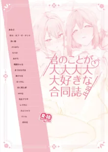 kimi no kotoga daidaidaidaidaisukina goudoushi R-18, 中文