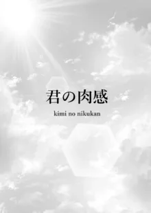 Kimi no nikukan, 中文