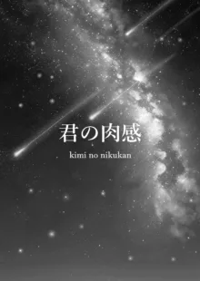 Kimi no nikukan, 中文