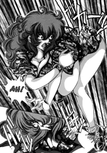 Double Fujiko, English