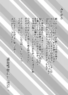 えまーじぇんしーこーど （ファンタシースターオンライン2）（DL版）, 日本語