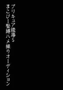 プリキュア陵辱5まこぴー緊縛ハメ撮りオーディション, 日本語