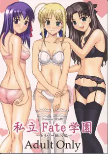 私立 Fate 学園 ～セイバー転入編～, 日本語