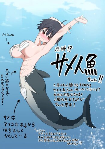 助けたサメの人魚との淫らな生活