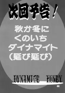 ハートキャッチ いずみちゃんダイナマイト 2, 日本語