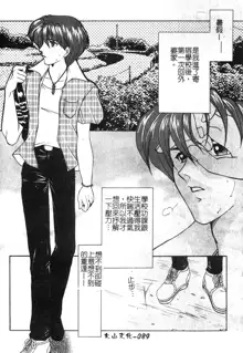 Junjou Karen, 中文