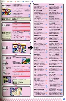 きゃんきゃんバニー プルミエール２攻略&設定資料集, 日本語