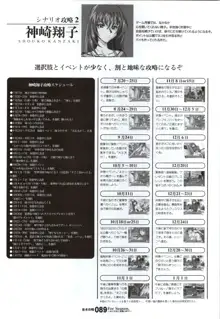 ForSeason～めぐりゆく季節の中で～ 攻略&設定資料集, 日本語