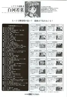 ForSeason～めぐりゆく季節の中で～ 攻略&設定資料集, 日本語