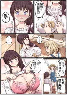 Powa x2 Futanari Shimai no Nichijou to Ecchi na Nichihou, 中文