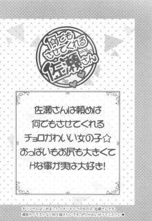 常識改変 ようこそ東方喫茶へ! ～早苗さん&霊夢さん編～, 日本語