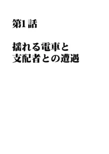 ヴァージントレインR 日本語訳, 日本語