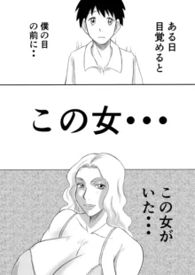 変な話・・・ある日、女神が降ってきた, 日本語