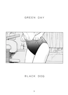 GREEN DAY, 日本語