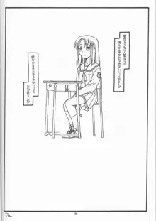 DESTRUCTION GIRL appendix^2, 日本語