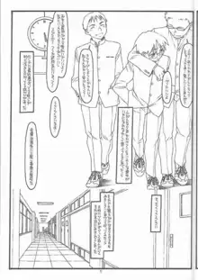 DESTRUCTION GIRL appendix^2, 日本語