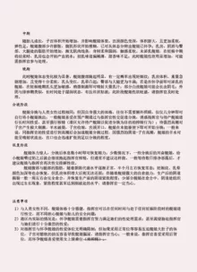 碧蓝航线系列, 中文